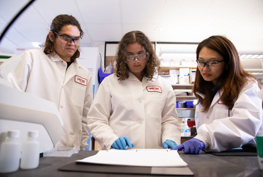 Verve Scientists