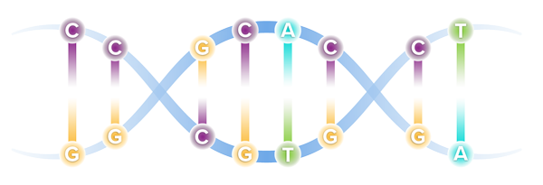 DNA sequencing