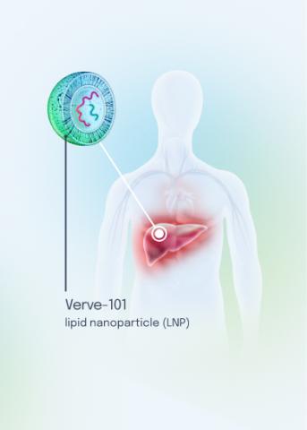 science illustration