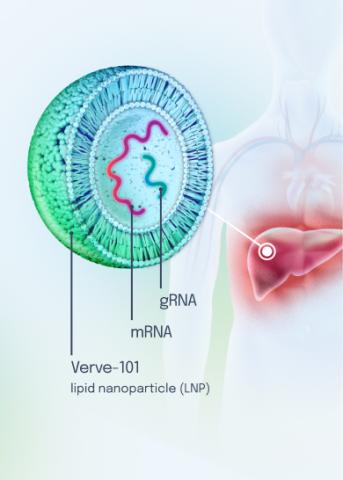 science illustration