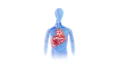science illustration